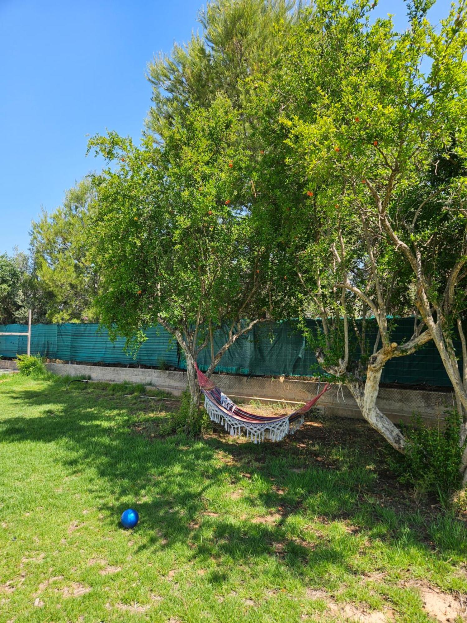 Large Yard, Large Lawn, Independent Villa Lliria Exterior foto